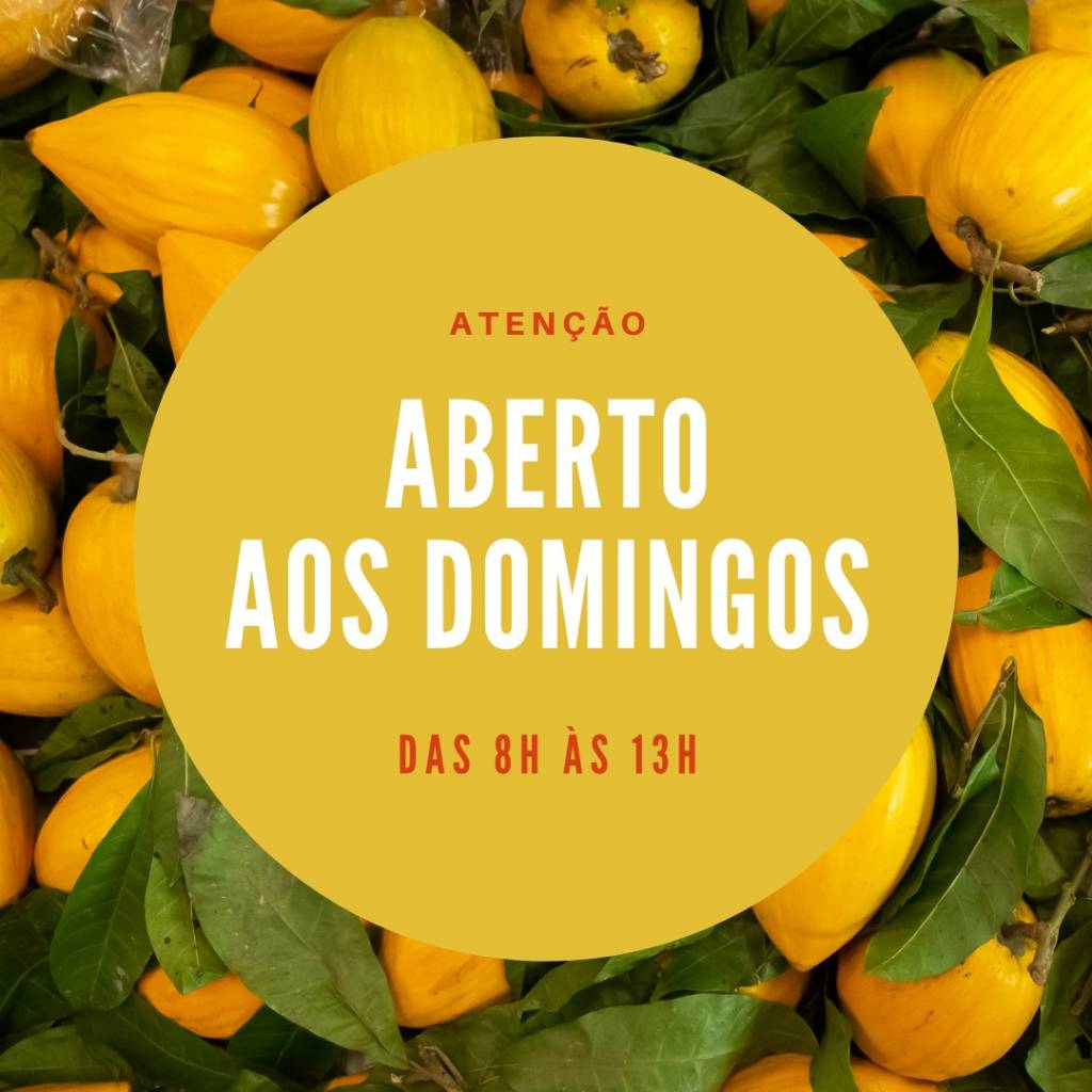 Mercado Municipal volta a funcionar aos domingos Mercado Municipal volta a funcionar aos domingos